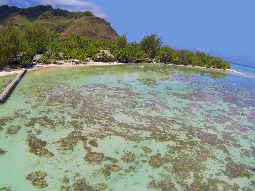 Hotel Les Tipaniers Moorea Extérieur photo