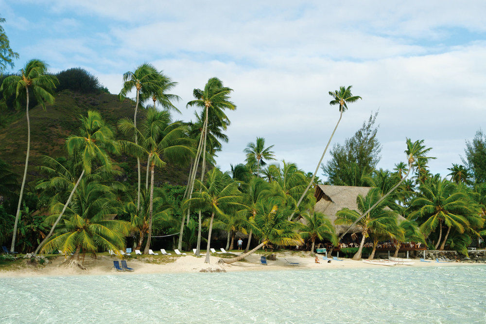 Hotel Les Tipaniers Moorea Extérieur photo