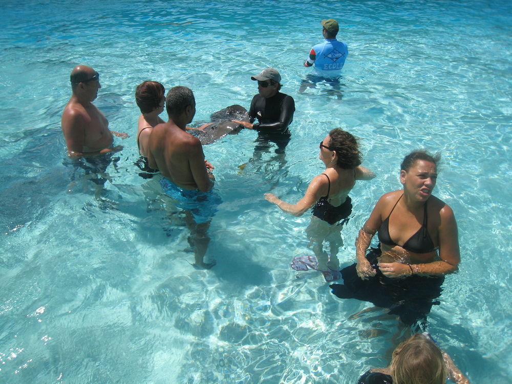 Hotel Les Tipaniers Moorea Extérieur photo